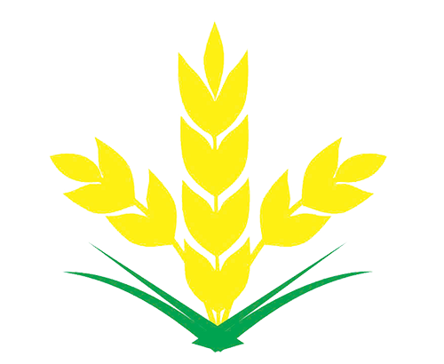 Công ty CP Hóa chất NPK Lâm Thao